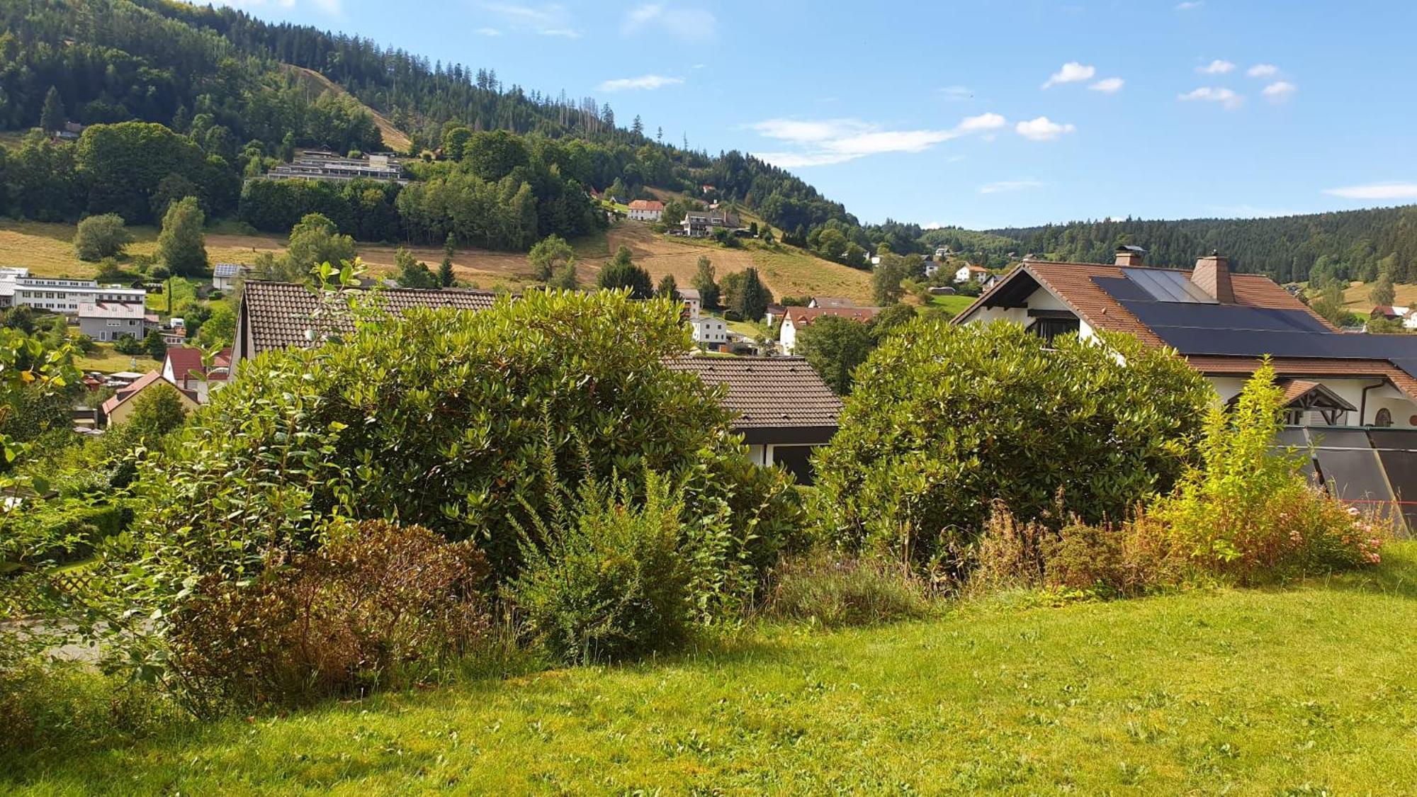 Green Hills Holiday House Warmensteinach Eksteriør billede